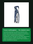Мультитул Leatherman Skeletool CX 833127 Nightshade, 7 функций, сталь 154CM, вес 142 г