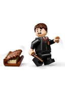 Конструктор HARRY POTTER Книга монстров 76449, 518 Деталей