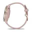 Умные часы Garmin Venu 3S, Soft Gold With Dust Rose Case (010-02785-03)