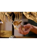 Конструктор JURASSIC WORLD Dinosaur Fossils: Tyrannosaurus rex(Окаменелости динозавров: Тираннозавр рекс) 76968, 3145 деталей
