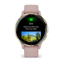 Умные часы Garmin Venu 3S, Soft Gold With Dust Rose Case (010-02785-03)