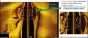Эхолот Lowrance HDS-7 LIVE with Active Imaging 3-in-1 (ROW)