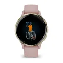Умные часы Garmin Venu 3S, Soft Gold With Dust Rose Case (010-02785-03)