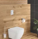 Туалетный ершик Grohe Essentials 40374A01 темный графит