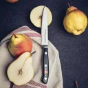 Нож поварской F. DICK Premier Plus Paring Knife (81447122), лезвие 12 см