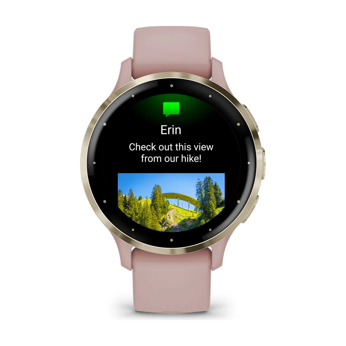 Умные часы Garmin Venu 3S, Soft Gold With Dust Rose Case (010-02785-03) — фото 5 из 6