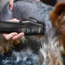 Машинка для стрижки животных Wahl Pet Colour Pro 3027682