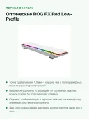 Клавиатура беспроводная игровая ASUS ROG Falchion RX Low Profile, 65 %, RX Red, Bluetooth/2,4 ГГц/USB, RGB, белая