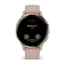 Умные часы Garmin Venu 3S, Soft Gold With Dust Rose Case (010-02785-03)